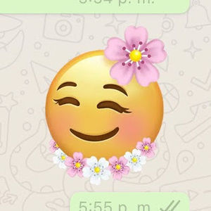 Meet your Posher, Rossie